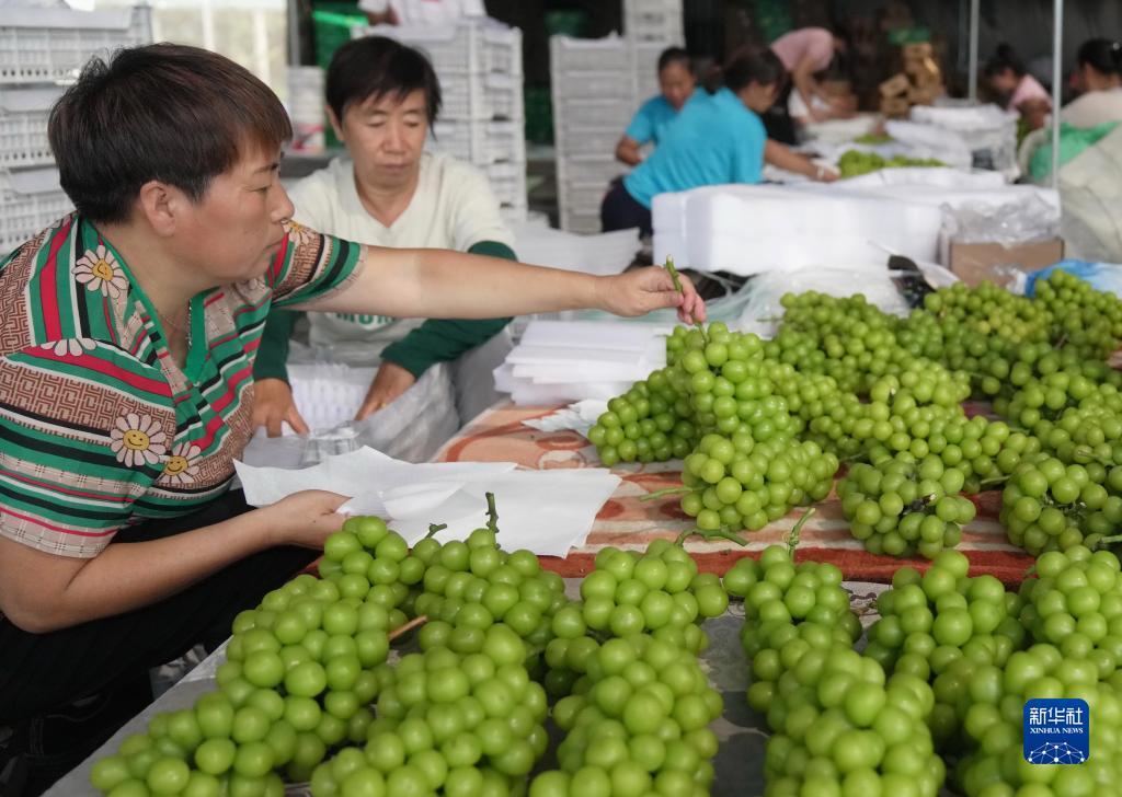 下载游戏中心安装